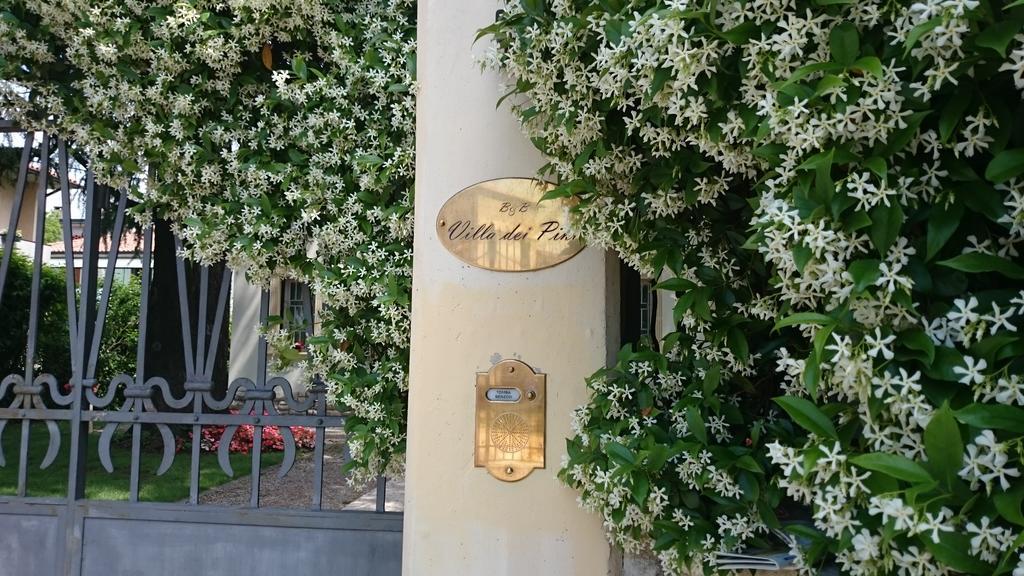 B&B Villa Dei Pini Domegliara 외부 사진