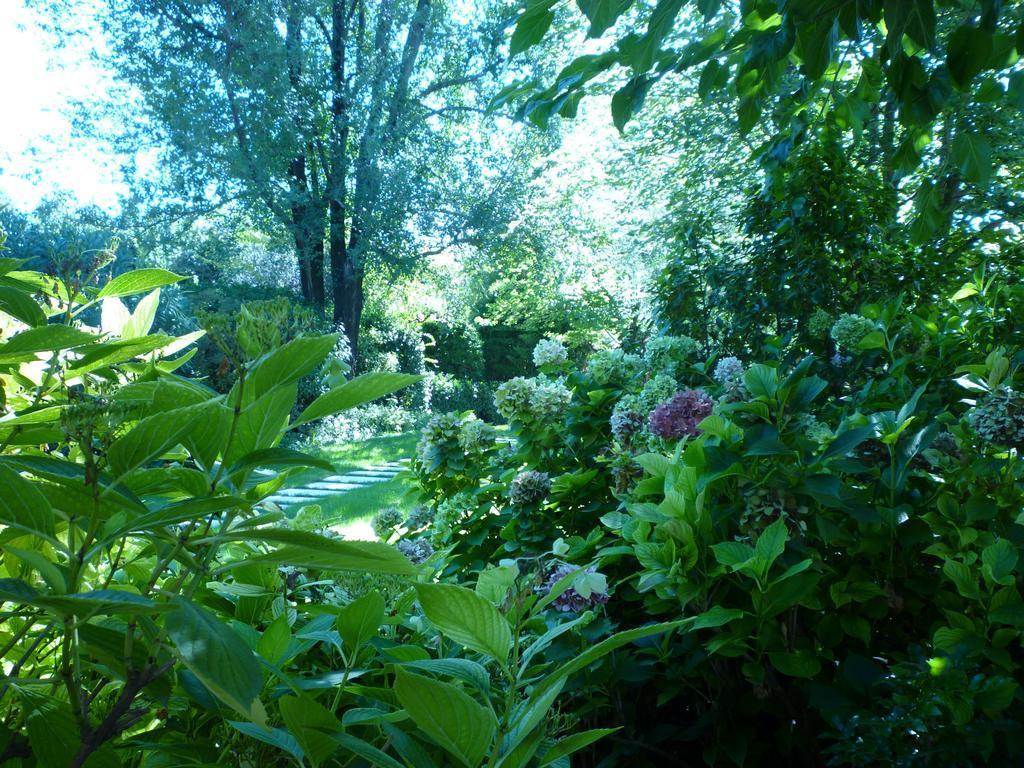 B&B Villa Dei Pini Domegliara 외부 사진