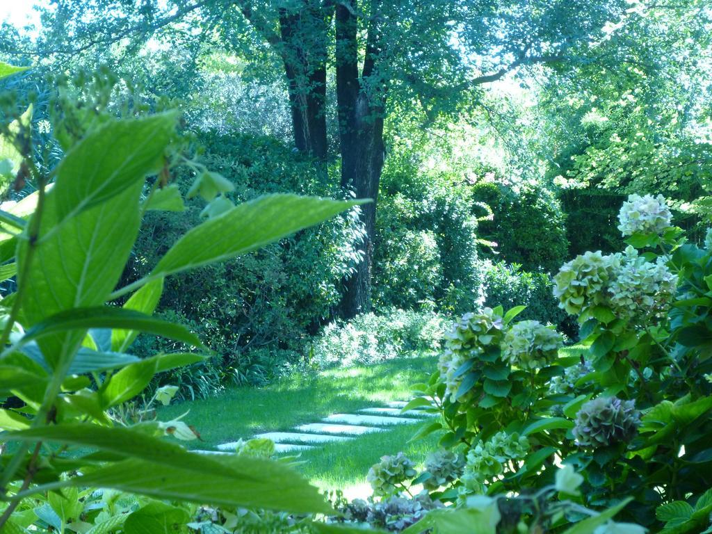 B&B Villa Dei Pini Domegliara 외부 사진
